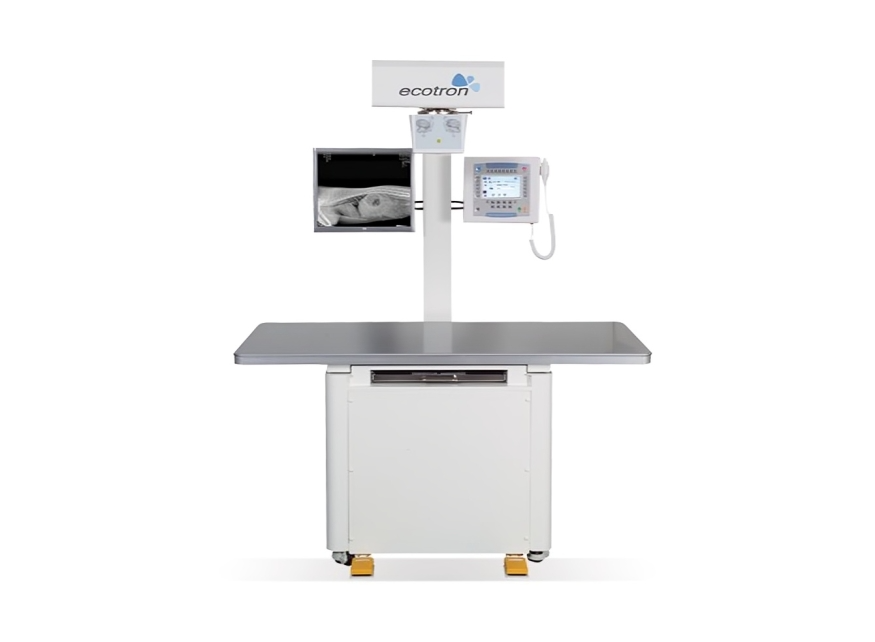Digital Veterinary X-ray